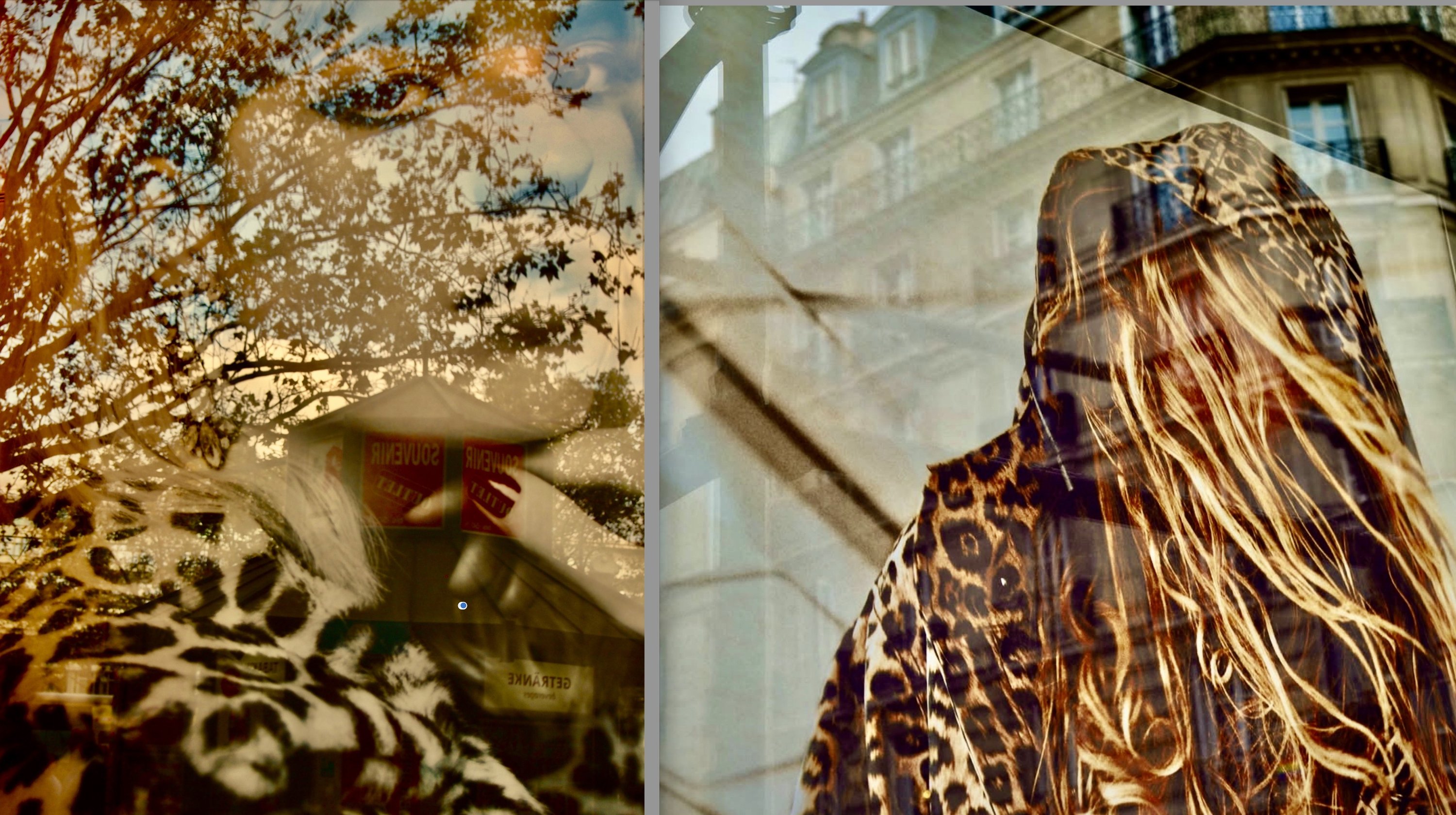 Leopard Possibilities